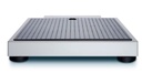 Seca Flat Scale