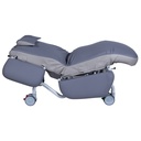 Deluxe Day Chair V2 Maxi - Electric