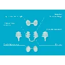 n510130501-nosamed-nosa-menthol-plugs-4.webp