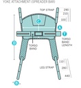CHS01/02_image_2