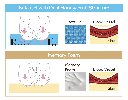SMGCL_image_3