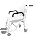 Weigh Chair Scale