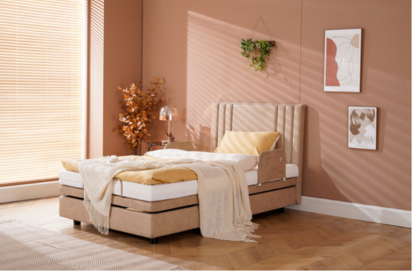 [B22S] HiLife Adjustable Home Bed (Single)