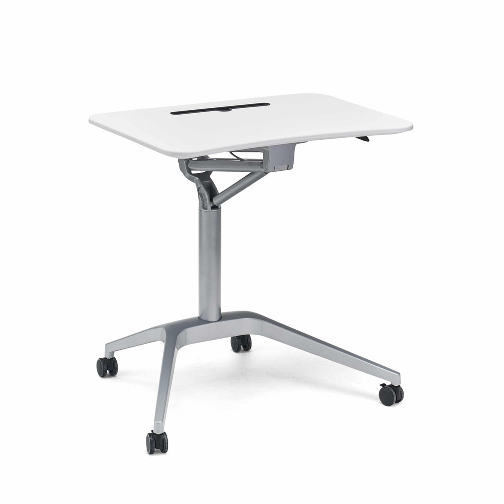 [A01-RISE-PRO] Rise Pro Workstation