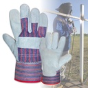 Candy Stripe Leather Gloves