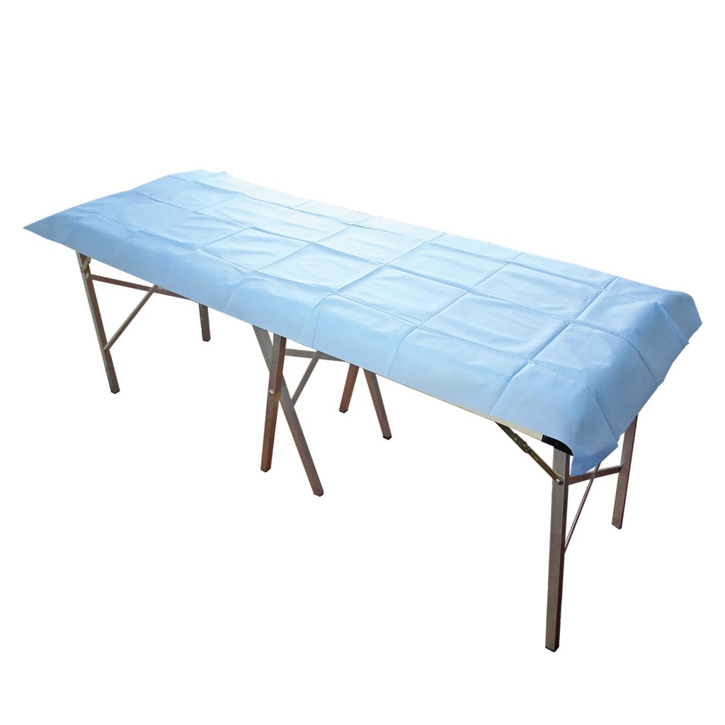 [HN-DSMS20070-40] RediCare® Flat Modesty Sheet - Small/Medium (Medium 200cm x 70cm (CARTON 100))