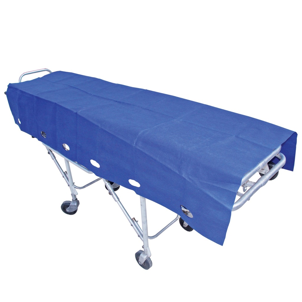 [HN-DPP190110H-80] RediCare® ProDRAW® Draw Sheet with Handles