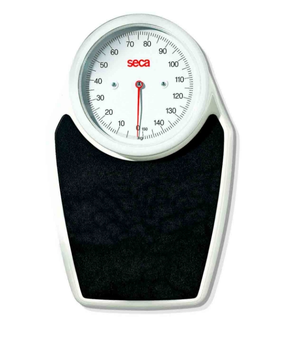 [SE762] Seca Mechanical Flat Scales