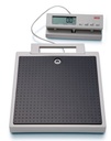 Seca Flat Scale