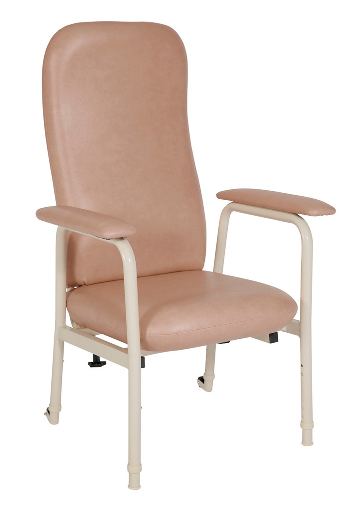 [ED0050] Euro High Back Chair (50cm, Champagne Vinyl)