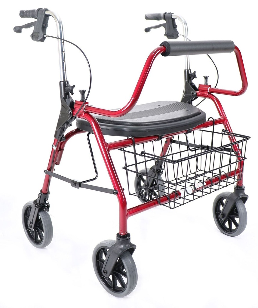 [HF0210] Galaxy Walker/Rollator