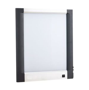 Single Bay Slimline LCD X-Ray Viewer