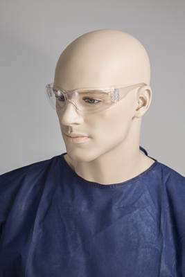 Safety Glasses/Goggles